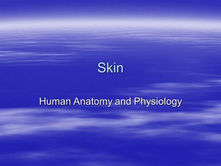 Human Anatomy and Physiology