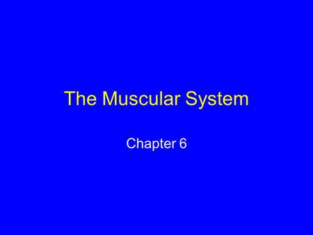 The Muscular System Chapter 6. Skeletal Muscle Bundles of striped muscle cells Attaches to bone Often works in opposition biceps triceps.