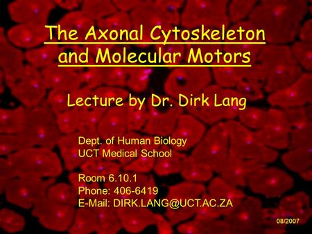 The Axonal Cytoskeleton and Molecular Motors