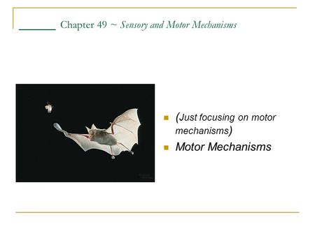 ____ Chapter 49 ~ Sensory and Motor Mechanisms ( Just focusing on motor mechanisms ) Motor Mechanisms.