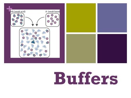 + Buffers. + Buffer any substance or mixture of compounds that, added to a solution, is capable of neutralizing both acids and bases without appreciably.