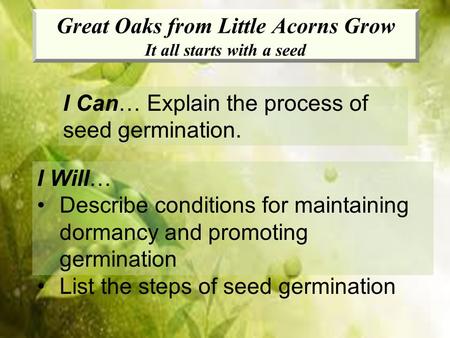 Great Oaks from Little Acorns Grow It all starts with a seed I Can… Explain the process of seed germination. I Will… Describe conditions for maintaining.