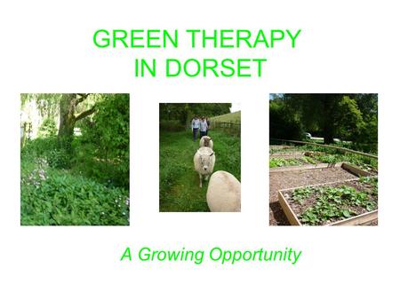 GREEN THERAPY IN DORSET A Growing Opportunity. What is green therapy? Using the outdoor rural environment as a therapeutic tool to improve mental and.