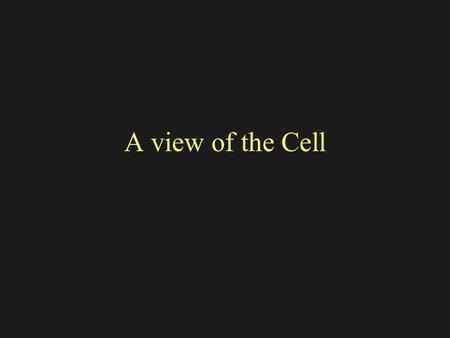 A view of the Cell. Discovery of cells Microscopes enabled biologists to see cells and develop the cell theory.