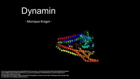 Dynamin - Monique Krüger -  e4b07fbe88868c13%2F1391430942719%2FBDLPxtal_map_filament.png&imgrefurl=http%3A%2F%2Fwww.thelowlab.org%2Fr