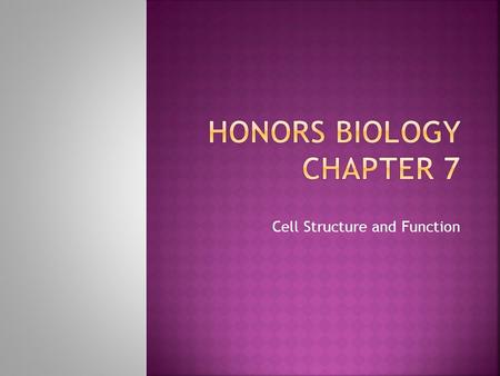 Cell Structure and Function.  Before 1600’s fiber/tissue = basic unit of life  Observed cork cells  Coined the term “cell”