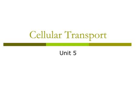 Cellular Transport Unit 5. Passive Transport  Does not use energy 1. Diffusion Movement of particles from an area of higher concentration to an area.