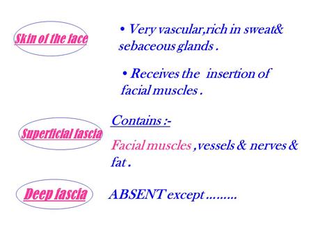 Skin of the face Very vascular,rich in sweat& sebaceous glands. Receives the insertion of facial muscles. Superficial fascia Contains :- Facial muscles,vessels.