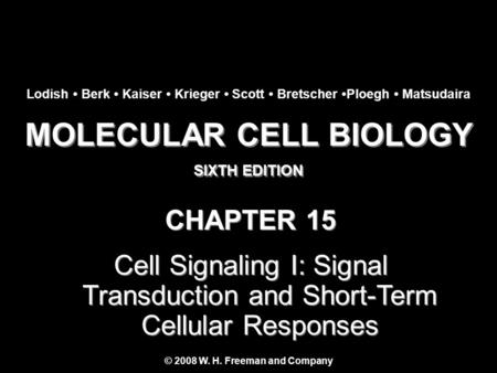 MOLECULAR CELL BIOLOGY © 2008 W. H. Freeman and Company