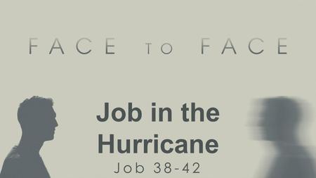 Job in the Hurricane Job 38-42. Theophany: a face-to-face encounter with God.