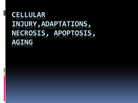 Cells Tissues Organs Systems Organism ADAPTATIONS Change in size Change in number of cells Change into another type of cell.