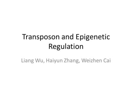 Transposon and Epigenetic Regulation