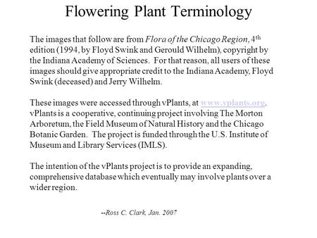 Flowering Plant Terminology The images that follow are from Flora of the Chicago Region, 4 th edition (1994, by Floyd Swink and Gerould Wilhelm), copyright.