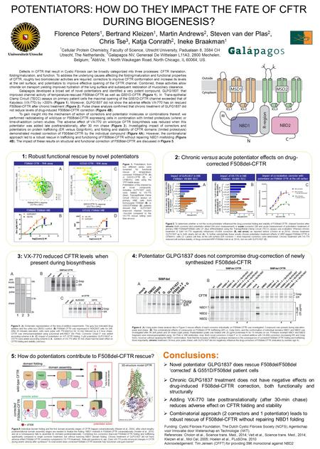 POTENTIATORS: HOW DO THEY IMPACT THE FATE OF CFTR DURING BIOGENESIS? 1 Cellular Protein Chemistry, Faculty of Science, Utrecht University, Padualaan 8,