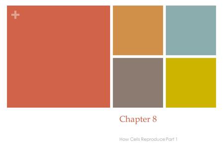 + Chapter 8 How Cells Reproduce Part 1. + Henrietta Lacks’ Immortal Cells Beginning in the mid-1800’s, researchers tried and tried to culture a lineage.