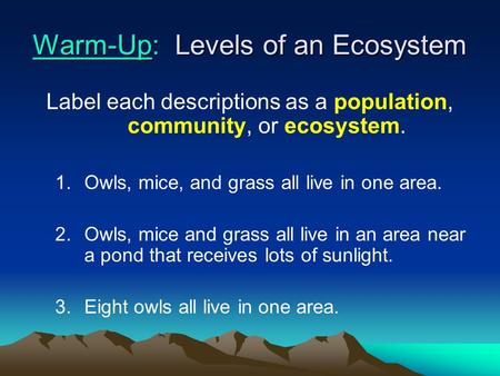 Warm-Up: Levels of an Ecosystem Label each descriptions as a population, community, or ecosystem. 1.Owls, mice, and grass all live in one area. 2.Owls,