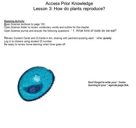 Access Prior Knowledge Lesson 3: How do plants reproduce? Opening Activity Open Science textbook to page 102. Open Science folder to review vocabulary.