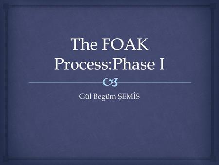 Gül Begüm ŞEMİS. Milestones Appointments Due dates Check lists Approval 01.03.2012The FOAK Process Phase I2 Project Process.