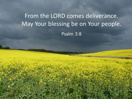 From the LORD comes deliverance. May Your blessing be on Your people. Psalm 3:8.