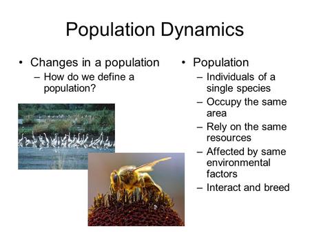 Population Dynamics Changes in a population –How do we define a population? Population –Individuals of a single species –Occupy the same area –Rely on.