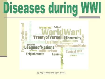 By: Kaylee Jones and Taylor Brauns. World War I It was 1914, and World War 1 had just started. As time passed, people on the streets began getting sick.