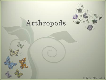 7 Arthropods. Features of Arthropods Arthropod Diversity.