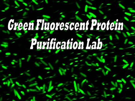 Intended Learning Objectives You should be able to… 1. Give 3 examples of proteins that are important to humans and are currently produced by transgenic.