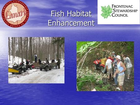 Fish Habitat Enhancement. Fish Habitat Enhancement: Bass Provide near shore cover for young bass Provide near shore cover for young bass –Fell trees into.