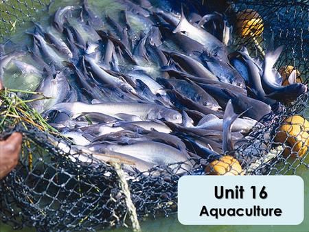 Unit 16 Aquaculture. Growing Industry One of the oldest industries in the world Food fish = largest market Oklahoma – Sport fishing – Fishery.