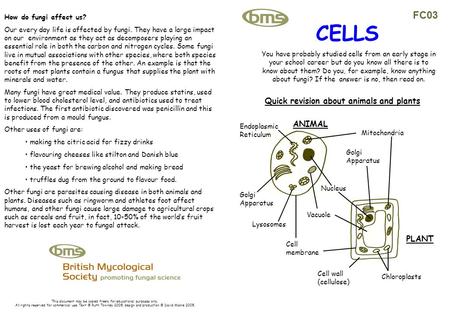 CELLS You have probably studied cells from an early stage in your school career but do you know all there is to know about them? Do you, for example, know.