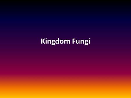 Kingdom Fungi.