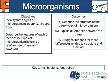 Objectives Identify three types of microorganism: bacteria, viruses, fungi. Describe the features of each of these three types of microorganism in terms.