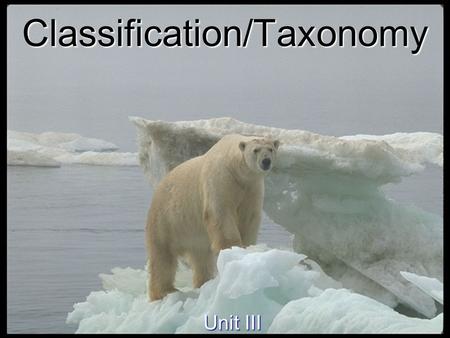 Classification/Taxonomy