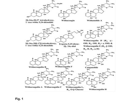 Fig. 1.