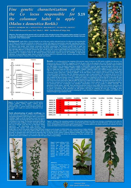 Fine genetic characterization of the Co locus responsible for the columnar habit in apple (Malus x domestica Borkh.) BALDI P. 1, KOMJANC M. 1, CASTELLETTI.