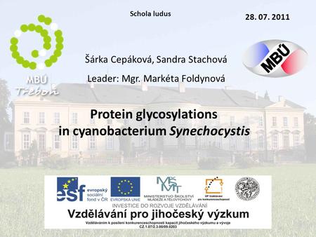 Šárka Cepáková, Sandra Stachová Leader: Mgr. Markéta Foldynová 28. 07. 2011 Protein glycosylations in cyanobacterium Synechocystis Schola ludus.