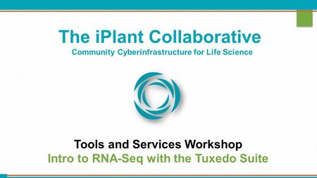 The iPlant Collaborative