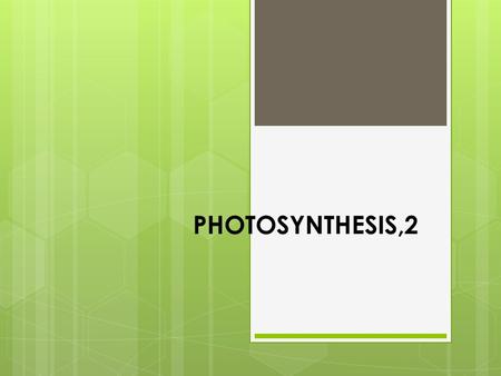 PHOTOSYNTHESIS,2.