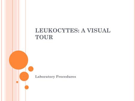 LEUKOCYTES: A VISUAL TOUR