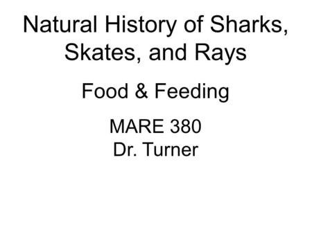 Natural History of Sharks, Skates, and Rays Food & Feeding MARE 380 Dr. Turner.