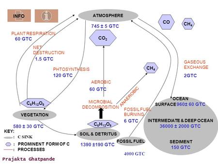 1390 ±190 GTC 4000 GTC VEGETATION SOIL & DETRITUS FOSSIL FUEL OCEAN SURFACE 960± 60 GTC INTERMEDIATE & DEEP OCEAN 36000 ± 2000 GTC SEDIMENT 150 GTC ATMOSPHERE.