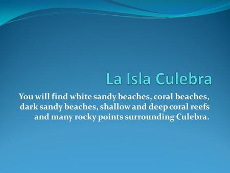 You will find white sandy beaches, coral beaches, dark sandy beaches, shallow and deep coral reefs and many rocky points surrounding Culebra.