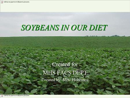 SOYBEANS IN OUR DIET Created for MHS FACS DEPT Created by: Mrs. Hohensee.