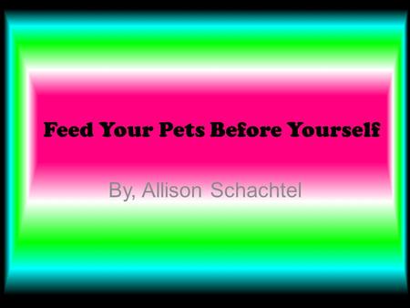 Feed Your Pets Before Yourself By, Allison Schachtel.