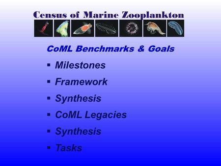  Milestones  Framework  Synthesis  CoML Legacies  Synthesis  Tasks CoML Benchmarks & Goals.