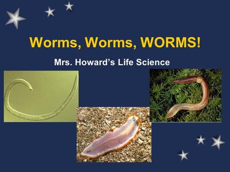 Worms, Worms, WORMS! Mrs. Howard’s Life Science. Worms, Worms, WORMS! Roundworms Flatworms Segmented worms Worm Lab Activity Mrs. Howard’s Life Science.