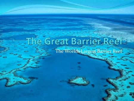 The Worlds Largest Barrier Reef