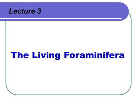 The Living Foraminifera