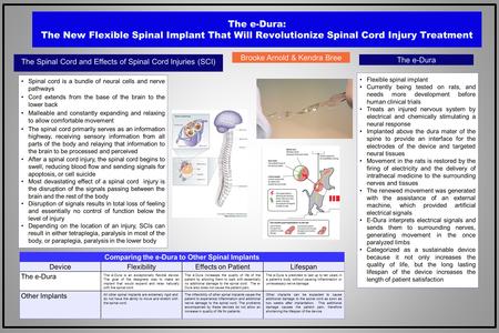 The e-Dura: The New Flexible Spinal Implant That Will Revolutionize Spinal Cord Injury Treatment The Spinal Cord and Effects of Spinal Cord Injuries (SCI)