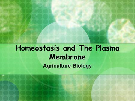 Homeostasis and The Plasma Membrane Agriculture Biology.